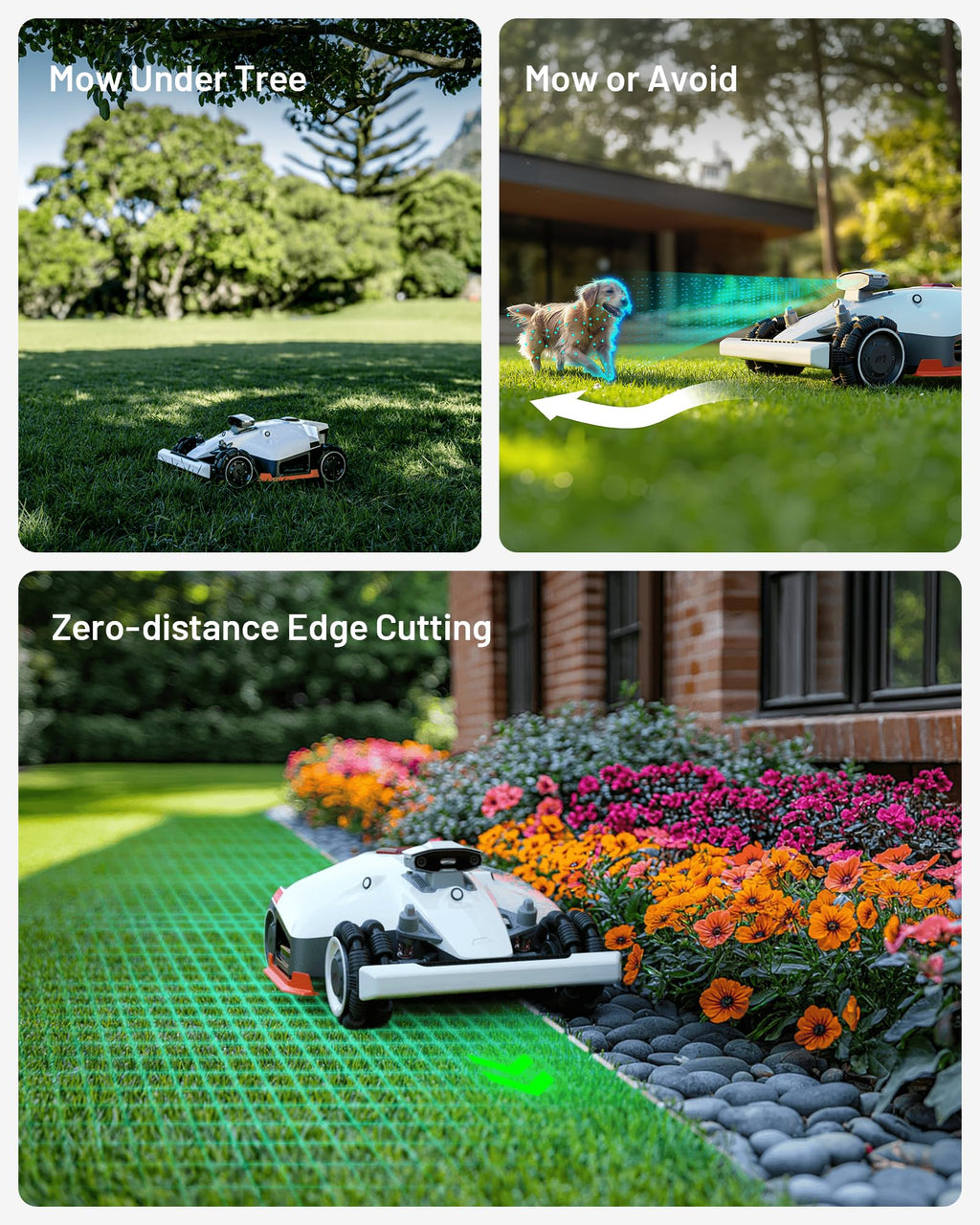 Mammotion LUBA 2 AWD 3000X Robot Lawn Mower – view 4