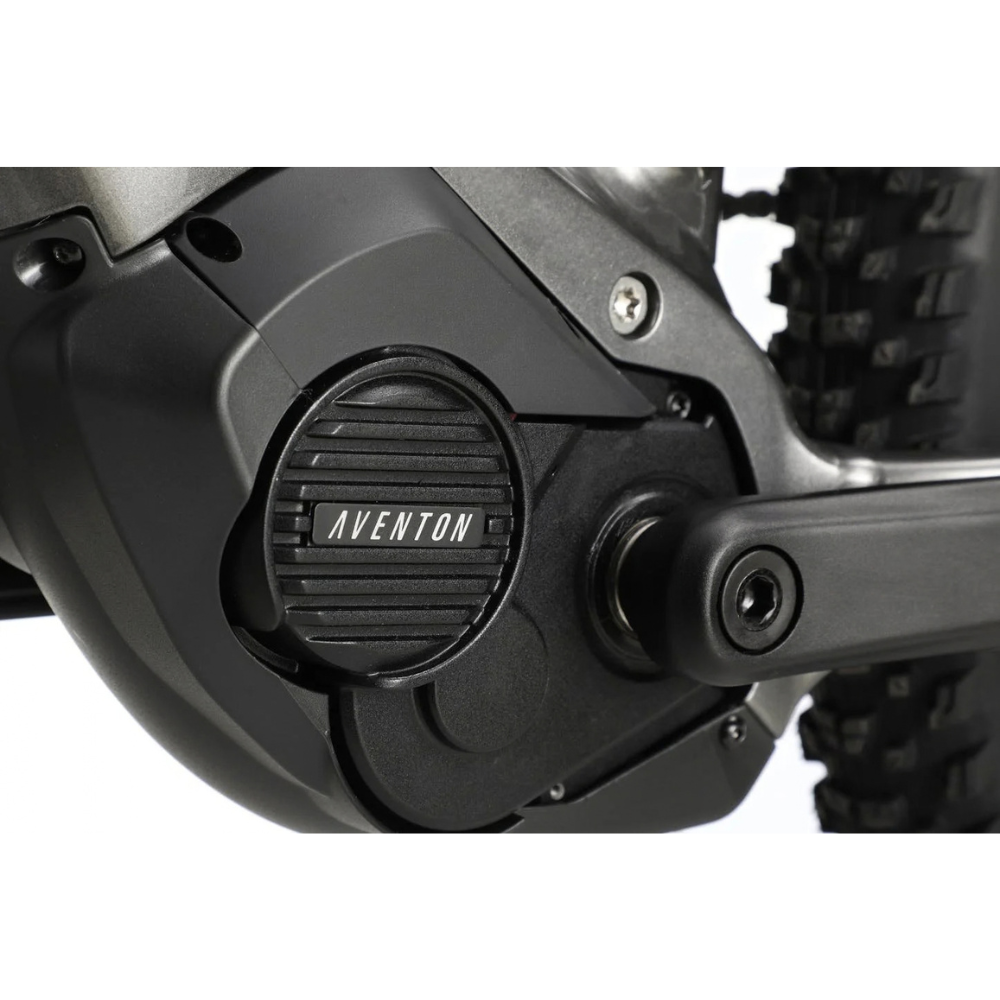 Aventon Ramblas eMTB – view 2
