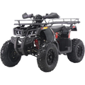 Colemann Powersportss AT200R 169cc Gas Powered Adult ATV