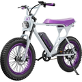 Macfox X1S x Bs.zay Electric Bike