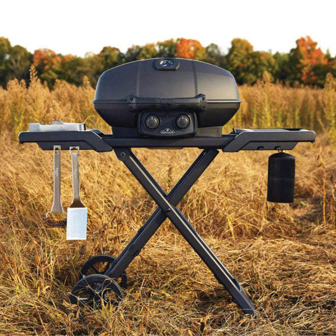 Napoleon Phantom TravelQ PRO 285 Portable Propane Gas Grill – view 6