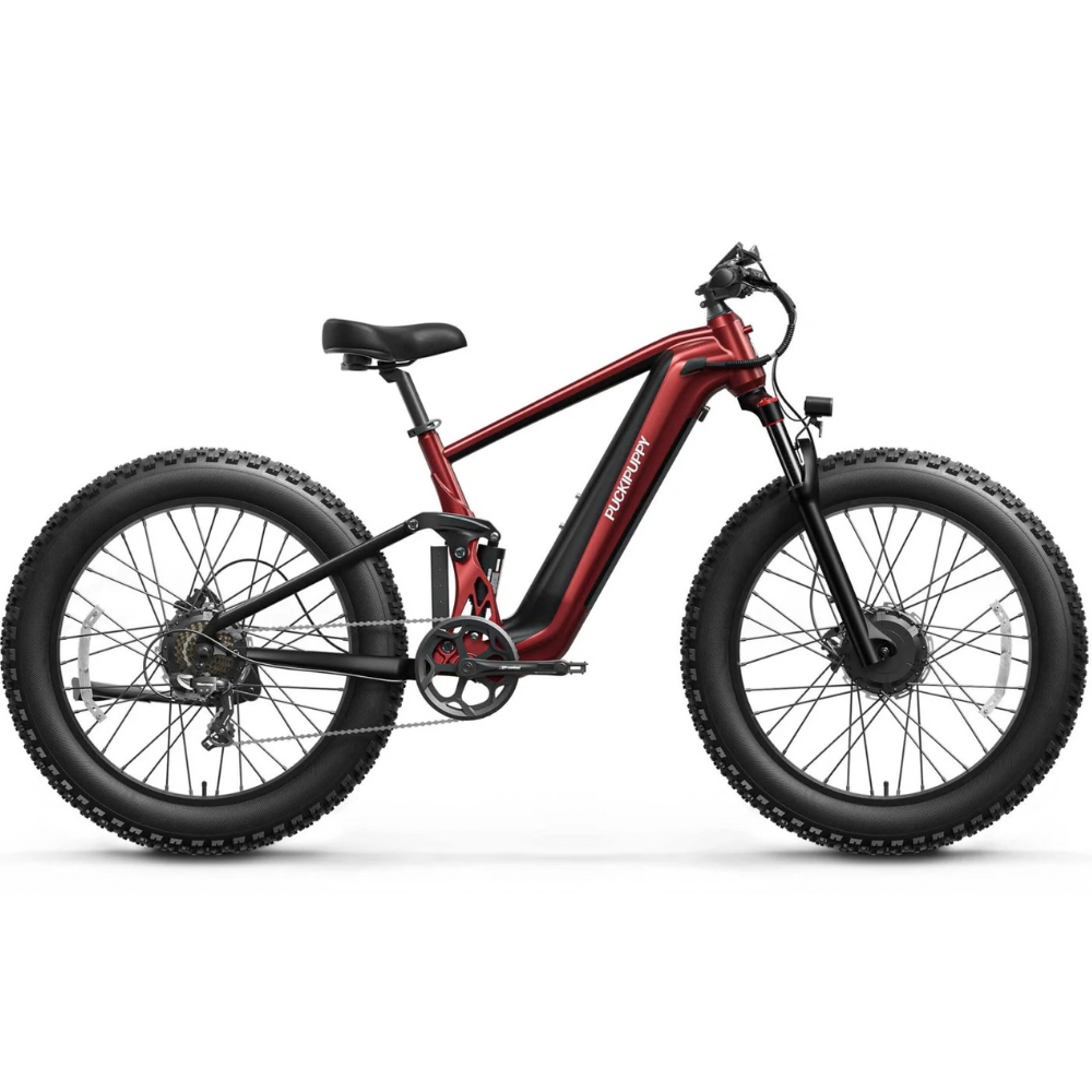PUCKIPUPPY GoldenR Dual-Motor E-Bike