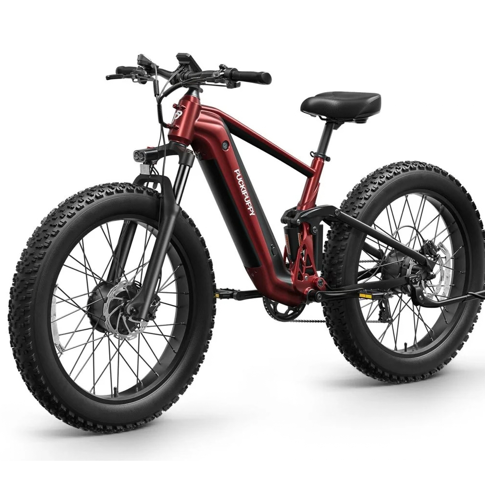 PUCKIPUPPY GoldenR Dual-Motor E-Bike – view 2