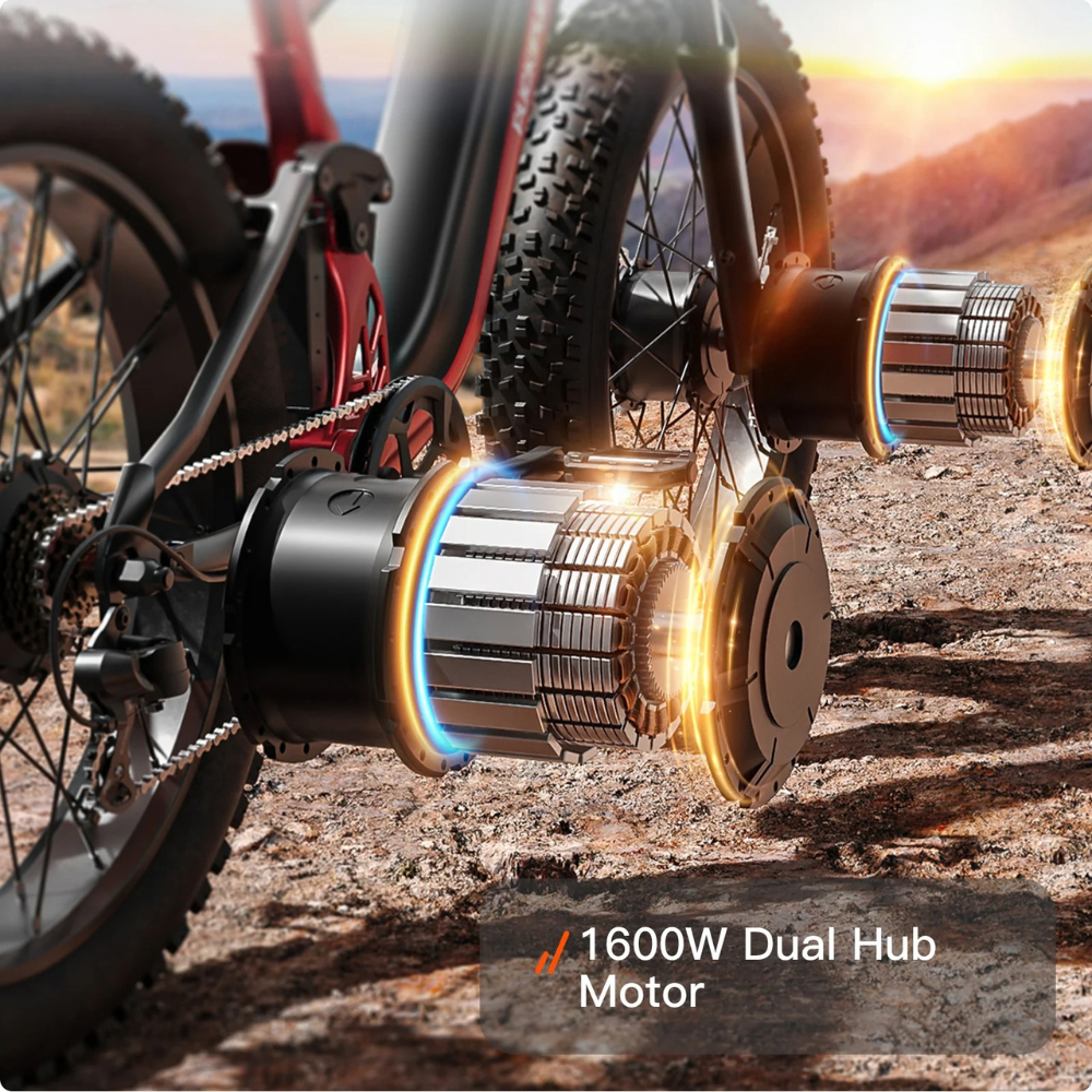 PUCKIPUPPY GoldenR Dual-Motor E-Bike – view 3