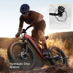 PUCKIPUPPY GoldenR Dual-Motor E-Bike – view 5