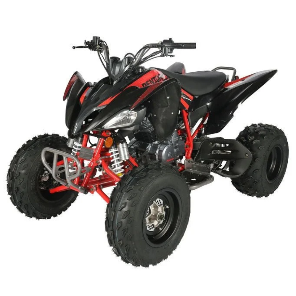 Regency PRO Ultra Sport 250cc ATV – view 3