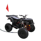 Rps 200cc Utility 169 cc ATV