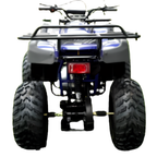 Rps 200cc Utility 169 cc ATV – view 2