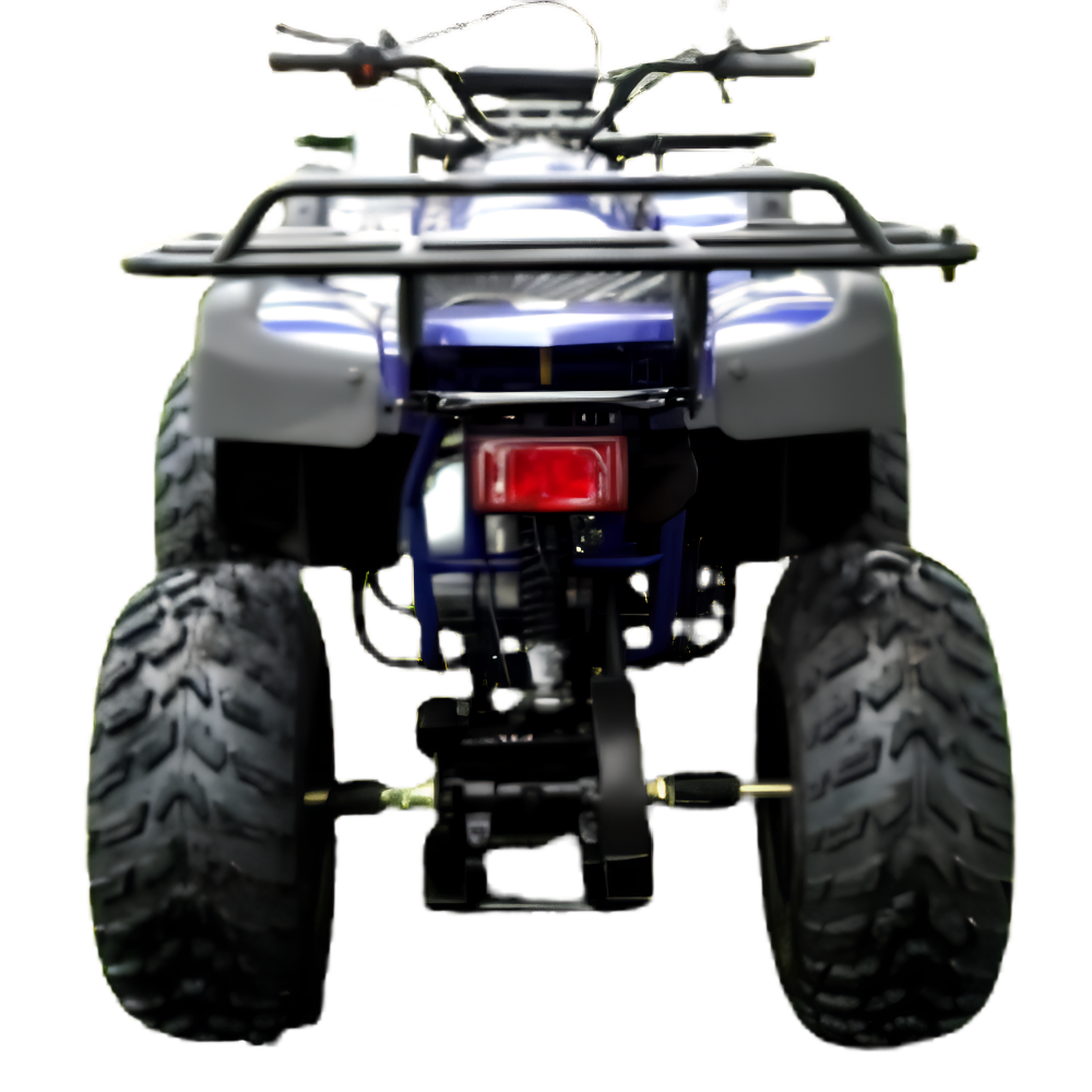 Rps 200cc Utility 169 cc ATV – view 2