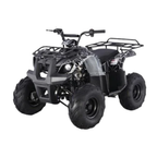 Tao Motor D125 Kids ATV