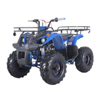 TaoTao T-Force T125 4-Wheeler All-Terrain Vehicle ATV