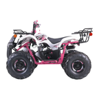 TaoTao T-Force T125 4-Wheeler All-Terrain Vehicle ATV – view 2