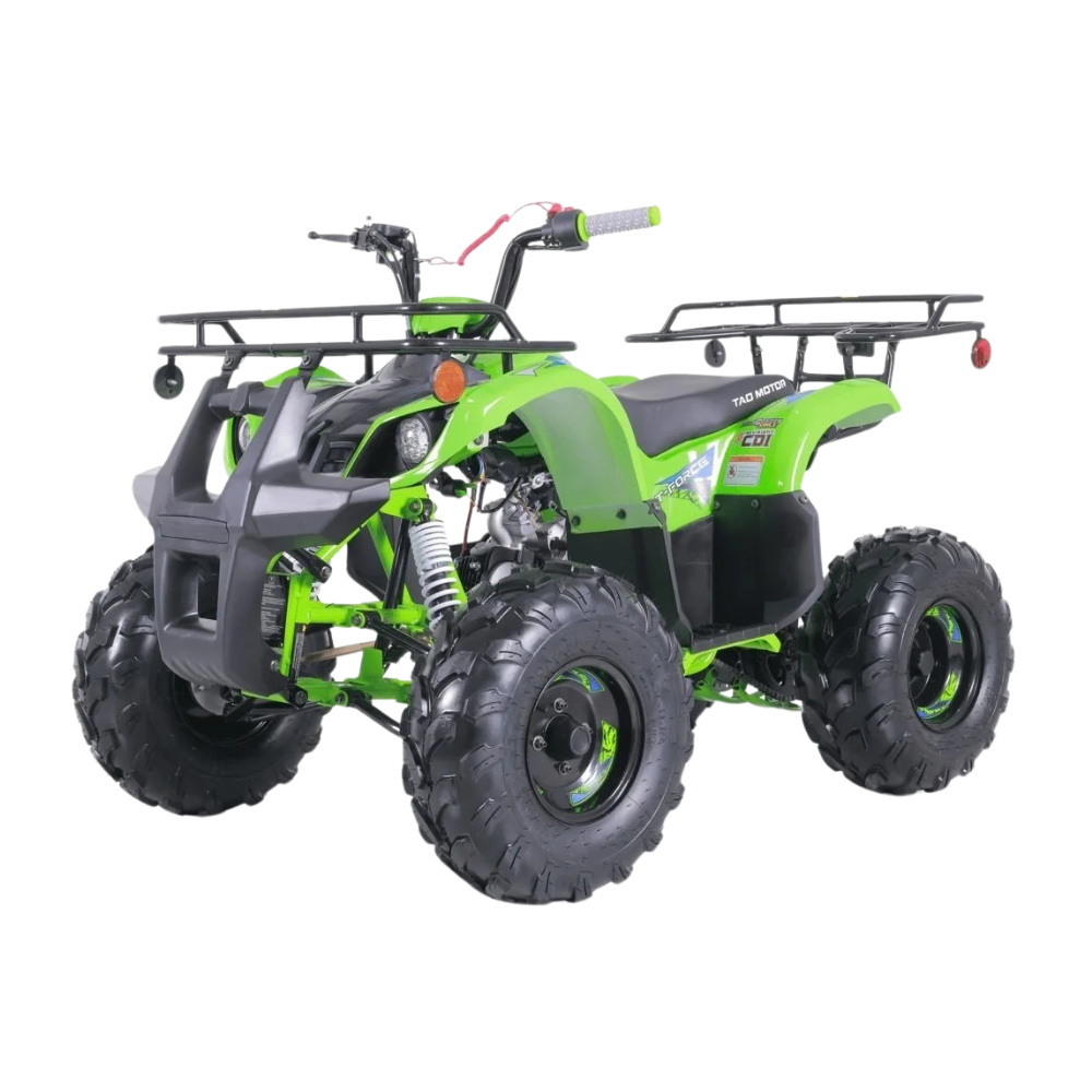 TaoTao T-Force T125 4-Wheeler All-Terrain Vehicle ATV – view 3