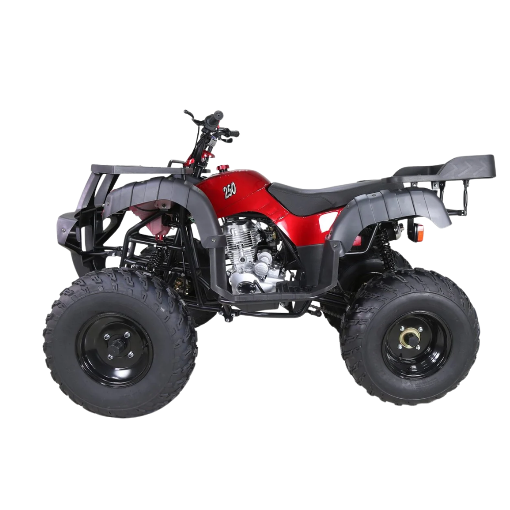 Taotao 250 Rhino Adult Utility ATV – view 2