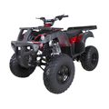 Taotao 250 Rhino Adult Utility ATV