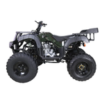 Taotao 250 Rhino Adult Utility ATV – view 3