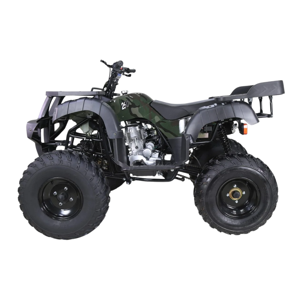 Taotao 250 Rhino Adult Utility ATV – view 3