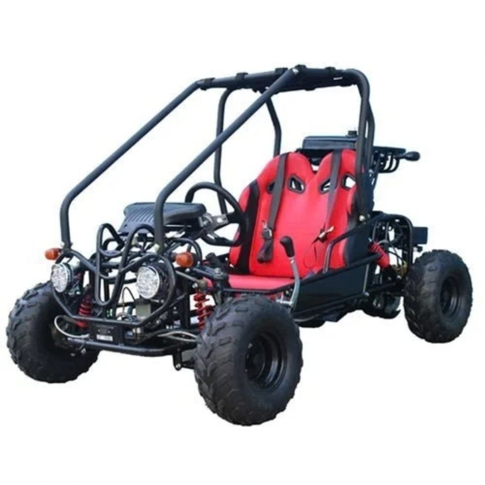 TaoTao GK110 110cc Gas Go-Kart Dune Buggy
