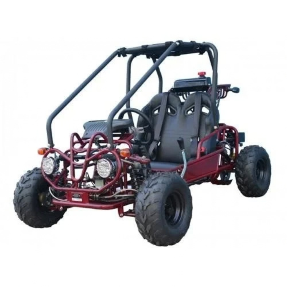 TaoTao GK110 110cc Gas Go-Kart Dune Buggy – view 2