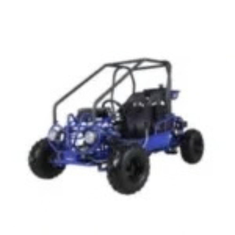 TaoTao GK110 110cc Gas Go-Kart Dune Buggy – view 4