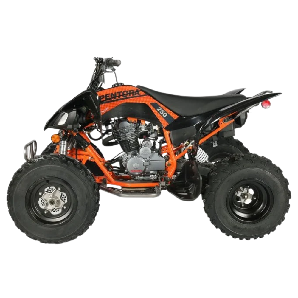 Vitaccii Pentora Racing ATV – view 3