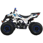 125cc Youth ATV with Reverse – view 2